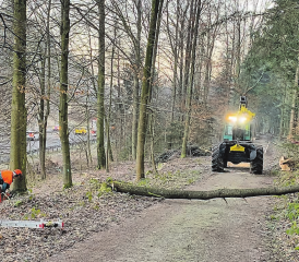 Sicherheit als oberstes Gebot: Oft mussten Bäume mit Hilfe einer Umlenkrolle und Seilwinde überzogen werden. (Bilder: zVg.)