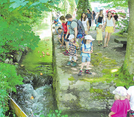 Einmal mehr fand das vom Verein Alte Schmitte organisierte Entenrennen beim Schloss Hallwyl grossen Anklang.
