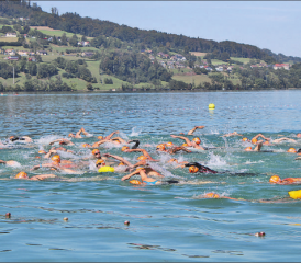 Beeindruckend: Wenn hunderte Menschen über den Hallwilersee schwimmen, braucht es ein Sicherheitskonzept, damit jeder und jede gesund ans Ziel gelangt. (Bilder: grh)