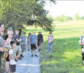 Viel Erfahrung: Hallwilersee-Ranger Peter Wyss zeigte die Entwicklungen der Pflanzenwelt. (Bilder: grh)