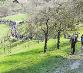 Unterwegs im schönen Suhrental: Der Verein Sandsteinmuseum und der Verein Aargauer Wanderwege führte eine gemeinsame Wanderung durch. (Bild: zVg.)
