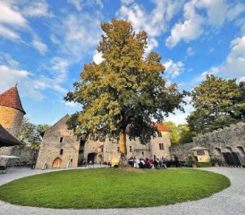 Blick in den Schlosshof mit noch kleiner Bestuhlung. Rund 60 Personen besuchten den Eröffnungsanlass, während der Oper werden es jeweils 120 sein.