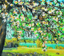 Kirschblütenpracht beim Bumähögg über Chalberweid, Beinwil am See
Gemäldebild und Text von Alberto Romer, Beinwil am See