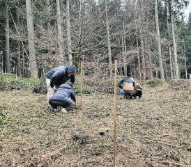 Den eigenen Baum besuchen, das ist ein Familienausflug, der über viele Jahre immer wieder Freude machen wird. (Bild: zVg.)