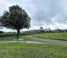 Geht es nach dem RVS soll die Hegmatte nun doch zur Überbauung freigehalten werden. Der Hegmatte-Verein nimmt das mit Erstaunen zur Kenntnis und erinnert an den mehrfach geäusserten Volkswillen. (Bild: rc.)