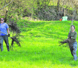 Trotz harter Arbeit, das Pflanzen von Bäumen macht Spass. (Bild: dr.)
