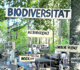 Wissen vor Ort: Die Ranger haben an «ihrem» Tag schon viel für interessierte Bürgerinnen und Bürger zusammengestellt. (Bild: zVg)