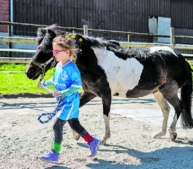 Selbstvertrauen: Der Umgang mit den Ponys macht nicht nur Spass. Die Kinder lernen vieles, das sie auch im Alltag brauchen können. (Bild: zVg)