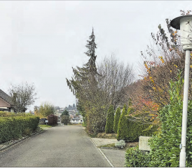 Die öffentliche Beleuchtung in Gränichen soll auf LED-Technologie umgestellt werden. (Bild: A.W.)