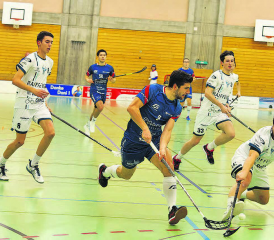 Drei wertvolle Punkte erkämpft: Lok Reinach gewann trotz vieler geschwächter oder kranker Spieler gegen Regazzi Verbano UH Gordola mit 9:7. (Bild: Roland Jaus)