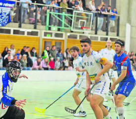 Vor stattlicher Zuschauerkulisse gelang den Reinachern ein zweiter Sieg gegen die Kloten Jets − David Dünki (Nr. 11) und seine Teamkollegen mussten sich in der Serie jedoch von der weissen Übermacht geschlagen geben. (Bilder: Roland Jaus)