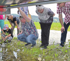 Feuchtbiotope unter dem Förderband sind die interessantesten Plätze im Kiesgrubenareal, Besucher entdecken Bergmolche. (Bilder: aw.)