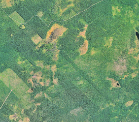 Alles was stört kommt unter den Boden: Projektentwurf für das Gebiet Gränichen (oben) bis Reinach (knapp nicht mehr im Bild). In der Mitte erkennen Sie die ehemalige Böhlerkreuzung, rechts den Halwilersee. (Bild: «IG JA, aber nicht vor meiner Haustür»)