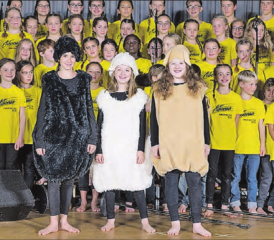 Auftritte in Egliswil und Reinach: Der Junior-Adonia-Chor präsentiert das Musical «David gäge Goliat». (Bild: zVg.)