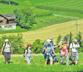 Nur der Aufstieg war schweisstreibend: Die Wandergesellschaft hat den Weg aber problemlos geschafft und konnte unterwegs die Landschaft in vollen Zügen geniessen. (Bilder: st.)
