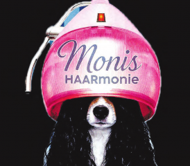 Das Maskottchen: «HAARigi Ziite» setzt die TGO speziell um. (Bild: Broschüre der TGO)