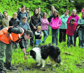 So muss es riechen: Tabea Haupt bereitet Riley auf seine Aufgabe vor, einen vom Borkenkäfer befallenen Baum zu finden. (Bilder: st.)
