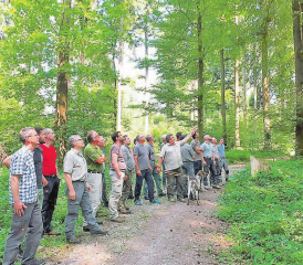 Nicht fünf vor, sondern bereits fünf nach zwölf im Wald? Die Förster verfolgen die durch den Klimawandel verursachten Veränderungen im Wald mit Besorgnis. (Bild: zVg.)
