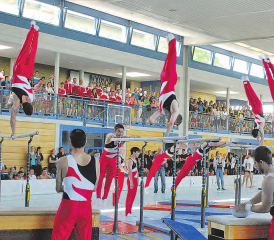 Rickenbacher am Gymday: Nach einer Aufholjagd und mit der Note 19,44 verteidigten sie den letztjährigen Barren-Siegertitel. (Bild: zVg.)