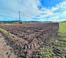 In diesem Feld würde die Grundwasserfassung zu liegen kommen. Ackerbau wäre danach weiterhin möglich. Im Hintergrund Hirschthal. (Bild: Remo Conoci)