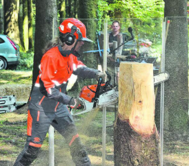 Der Stamm wird vorbereitet: Dazu benützt die Künstlerin eine ganz normal Kettensäge.