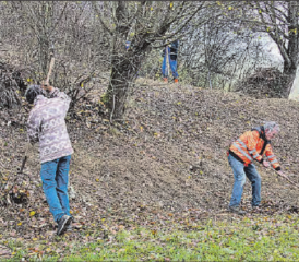 Arbeitseinsatz des Natur- und Vogelschutzvereins Reinach: Am Fusse des Hombergs galt es aufzuräumen. Im nächsten Frühling werden die Arbeiten fortgesetzt, um die Biodiversität zurückzuholen. (Bilder: zVg.)