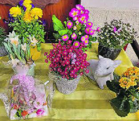 Sie sind bunt, ob Mitbringsel vom Markt oder Pflanzenbörse. (Bild: zVg.)