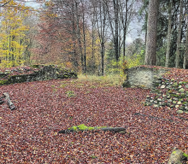Das Waldstück mit den Überresten der Burgruine Alt Rued gehört nun der Einwohnergemeinde Schlossrued. (Bild: zVg.)