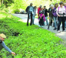 Pfanzenfülle auch an Bachläufen: Eine interessierte Schar verfolgte die Ausführungen des «Kräutermannes» Daniel Knecht. (Bilder: st.)