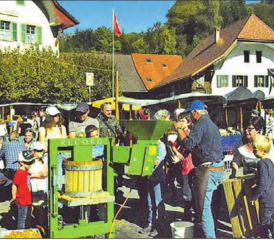 Der Apfel steht im Zentrum: Am Samstag, 12. Oktober, wird auf dem Dorfplatz in Schlossrued wieder gemostet. (Bild: Archiv st.)