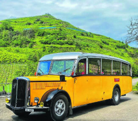 Mit dem charakteristischen Saurerbus aus vergangenen Tagen begaben sich die Mitglieder des Busvereins Rymenzburg auf ihre traditionelle Spargelfahrt. (Bild: zVg.)