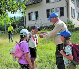 Hans Küchler zeigte den Kindern das übelriechende Unkraut «Wegwarte», welches auch die Damhirsche nicht essen und deshalb ausgerissen wird.