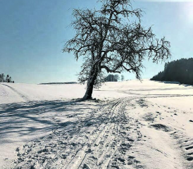 Wohin führt uns das Jahr 2021? Auf die Menschen warten viele Herausforderungen für das Jahr 2021 und darüber hinaus. (Bild: zVg.)