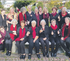 «Switzerland for ever»: Unter diesem Motto laden die ChanSoNetten zu zwei Konzerten in Reinach und Oberkulm ein. (Bild: zVg.)