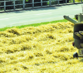 Für die jüngere Generation eine kleine Sensation: Zwei historische Maschinen zur Getreideernte standen einsatzbereit am Strassenrand bzw. im Feld. (Bilder: st.)