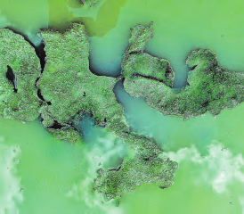 Selbst in oder mit einer Regenpfütze kann man Geographie lernen. Mindestens Italien mit Sizilien und ein Teil von Mittel-Europa sind doch gut zu erkennen… (Text und Bild: Herbert Müri)