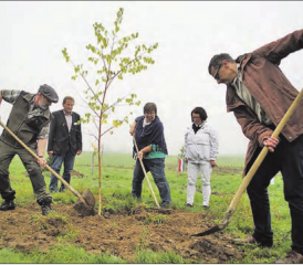 Setzen die «schönste Birke Europas»: Robi Suter, Wetz, Gabriella Jämsä, Tiina Räihä und Ulrich Suter, Initiant des Europawäldli (v.l.n.r.). (Bild: spo.)