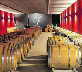 Grosses Fachwissen und viel Hingabe bescherten Thomas und Christina Lindenmann, Winzer aus Seengen, wie auch ihrem Team fünf Gold-Diplome bei der Prämierung durch den Branchenverband der Aargauer Weinproduzenten. (Bilder: dr./zVg.)