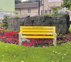 Seit Kurzem steht ein «Wie geht’s dir?»-Bänkli beim Gedenkstein neben der Bushaltestelle Oberdorf in Meisterschwanden. (Bild: zVg.)