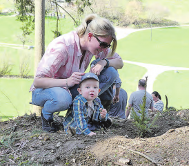 Bilder sagen mehr als 1000 Worte: Im Beidel wurde der «Jahrgangswald 2017» bepflanzt.