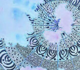 Eine Ausstellung der besonderen Art mit Werken von Elvira Schmed und Konzerten findet vom 13. bis 29. Oktober im Museum Schneggli in Reinach statt. (Bild: zVg.)