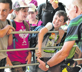 Einmal ein Kälbli streicheln und viel Wissenswertes erfahren – am Liebegger Tag der Schulen. (Bilder: hg.)