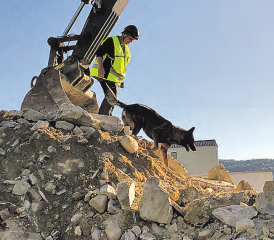 Rettungshunde im Einsatz: In den Trümmern des ehemaligen Restaurants Schützenhaus wurde nach «Verschütteten» gesucht.. (Bild: zVg.)