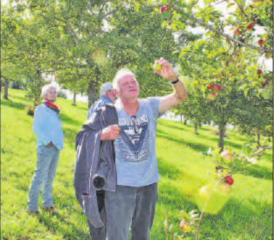 Arboretum: Auf diesem Spaziergang entdeckten Gäste Obstsorten ihrer Kindheit wieder. (Bilder: grh)