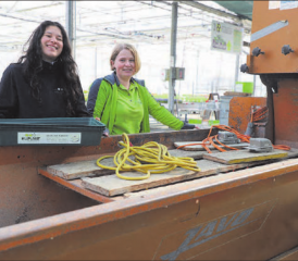 Die Vorbereitungen für das Einpflanz-Erlebnis bei Huplant liefen bis Mittwoch auf Hochtouren: Jennifer (l. 1. Lehrjahr) und Janine (Bereichsleiterin Saisonflor) (Bild: rc.)