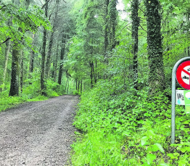 Forstbetrieb Wyna-Suhre? Beinahe die Hälfte der Fläche des geplanten Forstbetriebs oder ein Waldanteil von 751 Hektaren gehört heute der Ortsbürgergemeinde Gränichen. (Bild: A.W.)