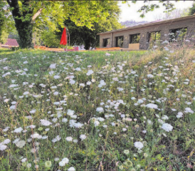 Ein Blick in den (sommerlichen) Park der Stiftung Schürmatt in Zetzwil: Hier fühlen sich Menschen, Pflanzen, und Tierchen wohl. (Bild: zVg.)