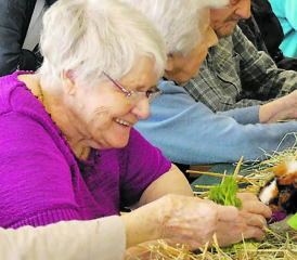 Mit vielen «Jööö»-Effekten: Die Meerschweinchen konnten bei ihrem Namen gerufen werden. (Bilder: zVg.)