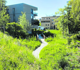 Siedlung mit einem ökologisch aufgewerteten Aussenraum für Anwohnende. (Bild: zVg.)