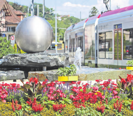 «Der schönste Kreisel weit und breit, in Beinwil auf dem Löwenplatz, erfreut mit Blumenüppigkeit aus Williners Ideenschatz» – Einsendung von Peter Hediger, Beinwil am See